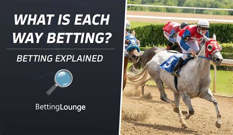 e/w 1/2 2 places bet365 meaning|Horse Racing: Each Way Betting Guide .